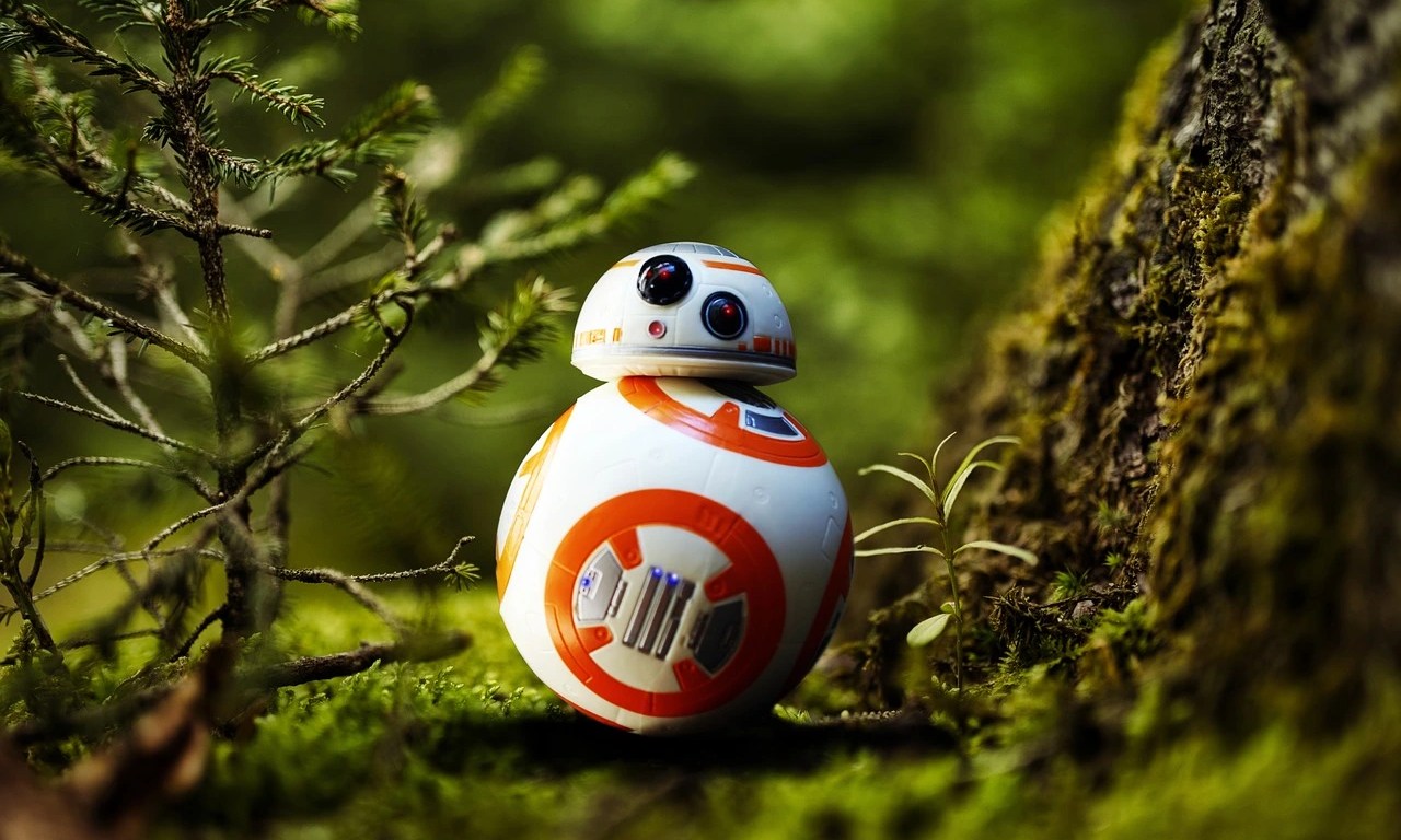 Imagem de J Lloa por Pixabay